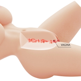 Мастурбатор-торс Lily Crazy Bull